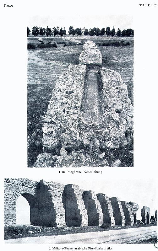 Carthage aq 115.jpg